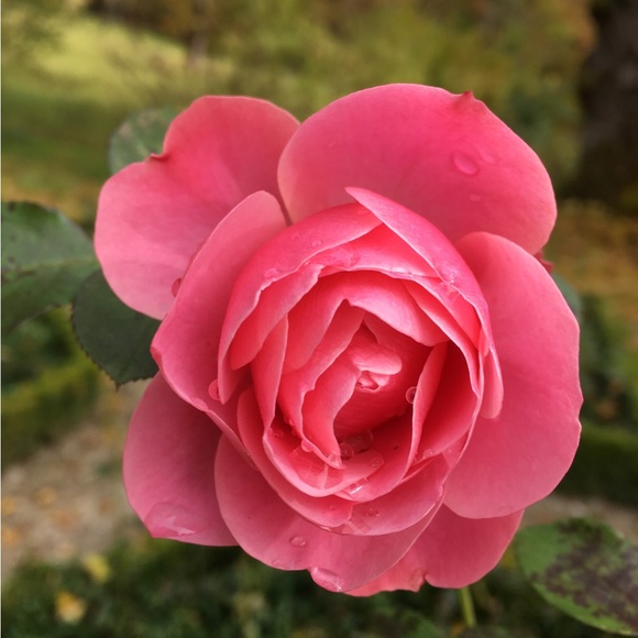 Meet your Posher, Peggy - Picture 3 of 3